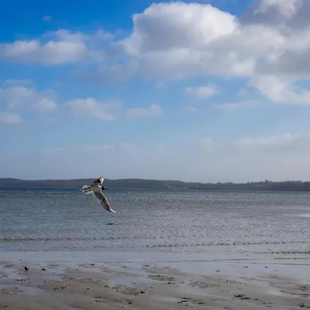 Vakantiehuis Seeblick 39 *