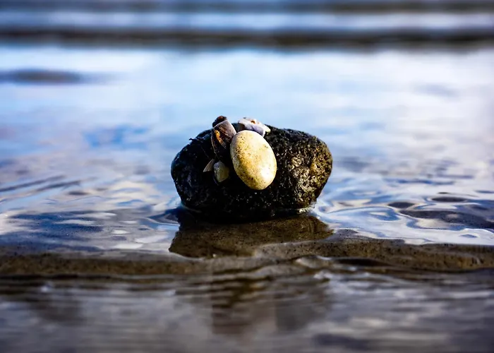 Seeblick 39 Holnishof